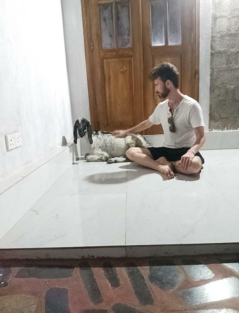 Farm House Hostel, Negombo