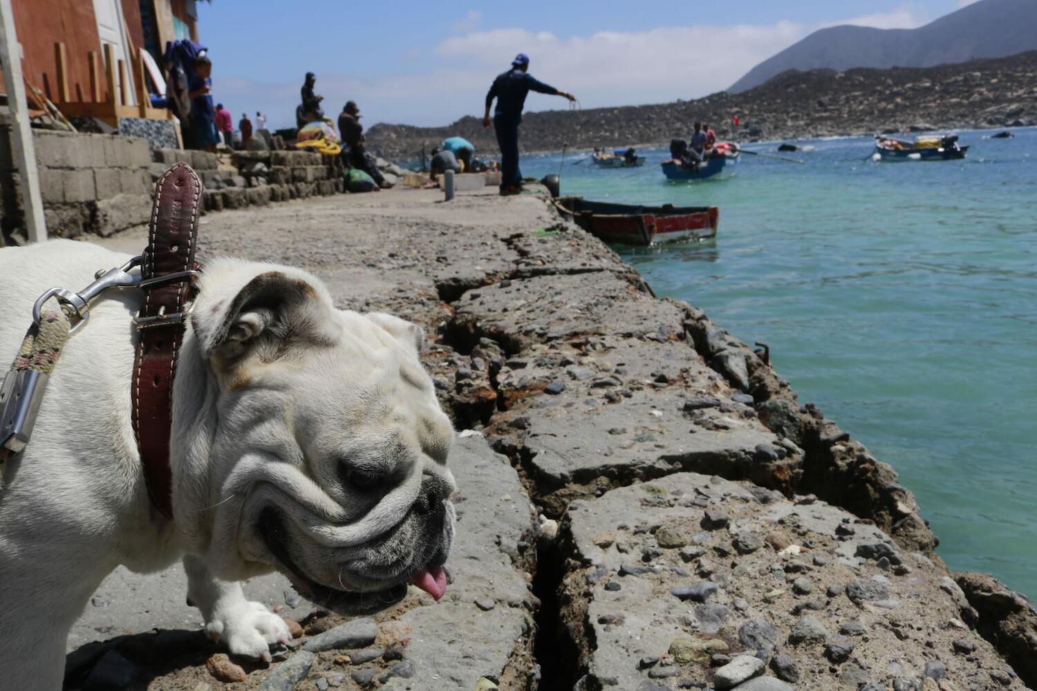 Aji Verde Hostel, La Serena