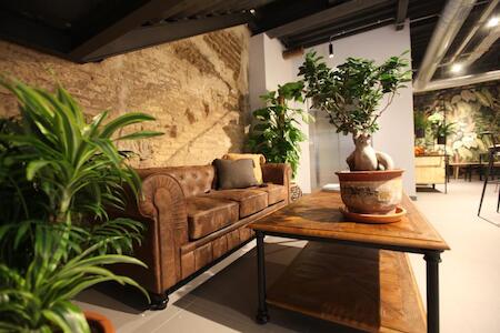 The Botanic Hostel, Zaragoza