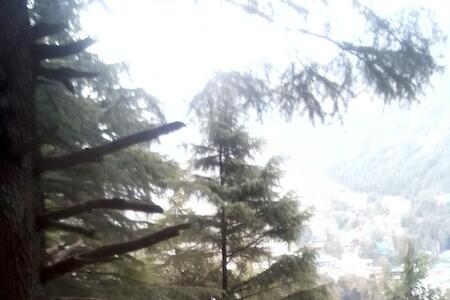 Himalayan Hostel, Dharamsala