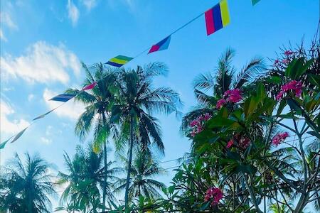 Best Party Hostel: Lala Salama Backpacker, Teluk Nara Best Party Hostel: Lala Salama Backpacker, Teluk Nara