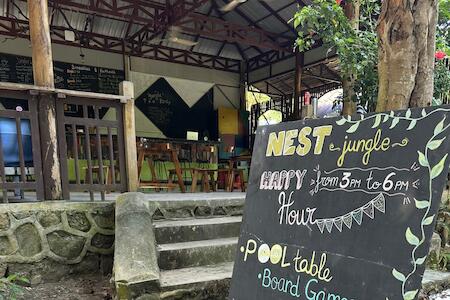 Nest Jungle