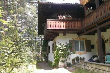 B&B Villa Dolomites Hut ¤¤¤