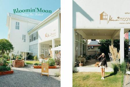 Bloomin' Moon Hostel, Chiang Mai Old Town