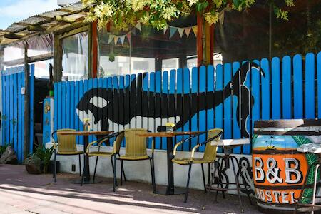 Best Party Hostel: B&B Punta Hostel, Punta del Este