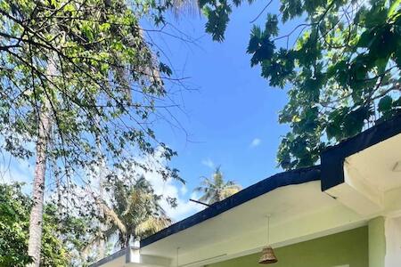 Mi Surf Hostel, Mirissa