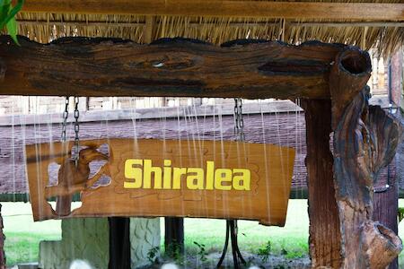 Shiralea Backpackers Resort