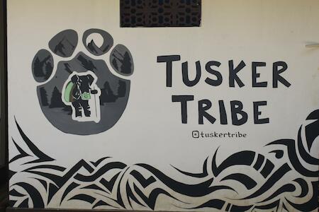 Tusker Tribe Hostel