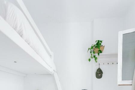 La Cocotera Boutique Hostel & Coworking, Tarifa