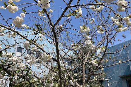 Narita Airport Samurai Hostel, Kujukuri Narita Airport Samurai Hostel, Kujukuri