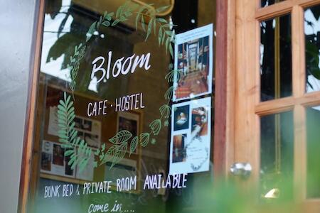 Bloom Cafe & Hostel