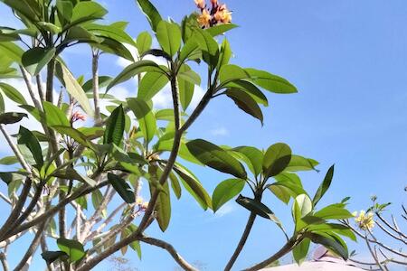 Dream Beach Hostel Lembongan, Nusa Lembongan