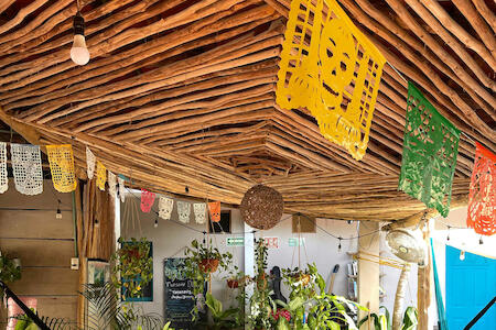Best for Solo Traveler: Barco Verde Hostel, Isla Holbox