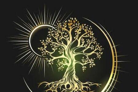 eKstasis Hostel & Urban Farm, Atlanta eKstasis Hostel & Urban Farm, Atlanta