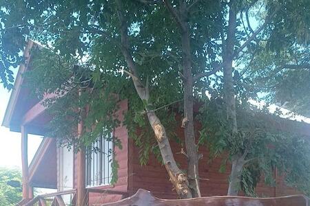 Kapo TEAM, colibri, Villa Amancay Kapo TEAM, colibri, Villa Amancay