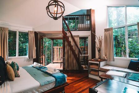 Ferntree Rainforest Lodge