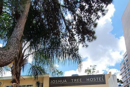 Joshua Tree Hostel - Curitiba