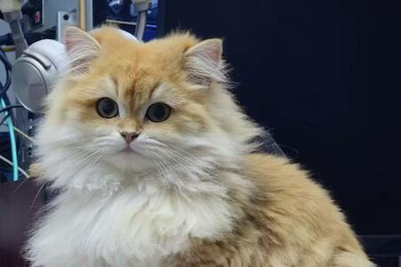 Witcher Hostel, Vientiane Witcher Hostel, Vientiane