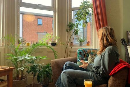 Botanical Backpackers, Belfast