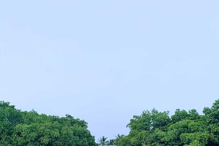 Best for Solo Traveler: Bella's Backpackers, Caye Caulker