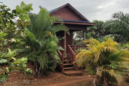 Tree Trails Homestay & Offers Jungle Trekk-Scooter For Rental