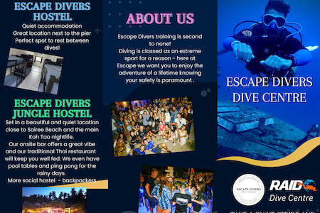Escape Divers Hostel