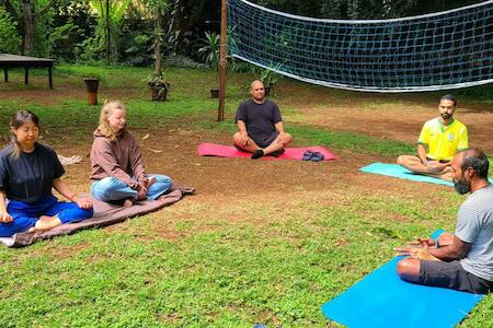 Mad Vervet Backpackers Hostel, Nairobi