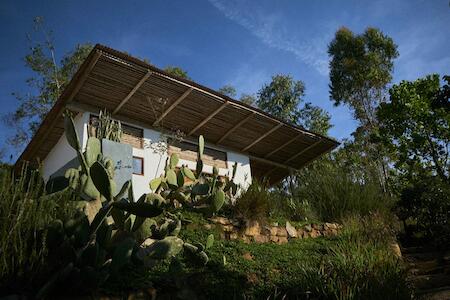 Best for Solo Traveler: Hostal Juan Palitos, Los Santos