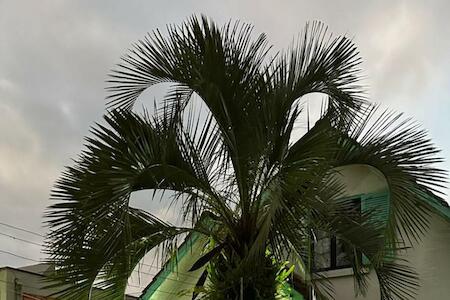 Hostel Hug Brasil, Curitiba Hostel Hug Brasil, Curitiba