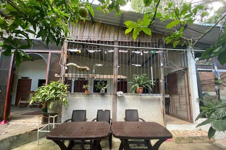 Hostal Cafe El Cedro, Usulutan Hostal Cafe El Cedro, Usulutan