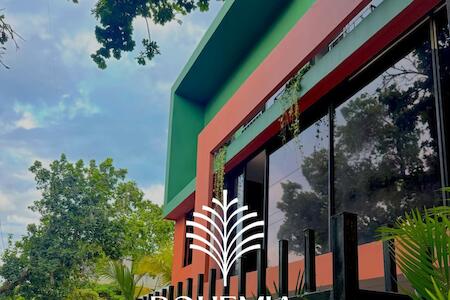 Best for Solo Traveler: Bohemia Boutique Hostel, Cali