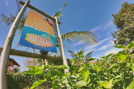 Best for Solo Traveler: Haleakala Hostel, Praia do Rosa
