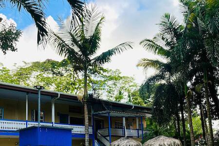 Best Party Hostel: Agapi Beachfront Hostel Boutique, Puerto Viejo de Talamanca