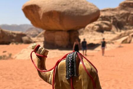 Wadi Rum Oryx Hostel & Tours