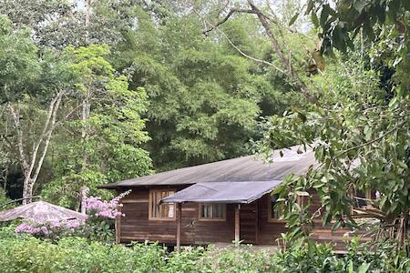 Great Hostels Amazon