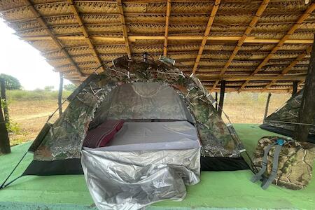 Jungle House & Camping Tents