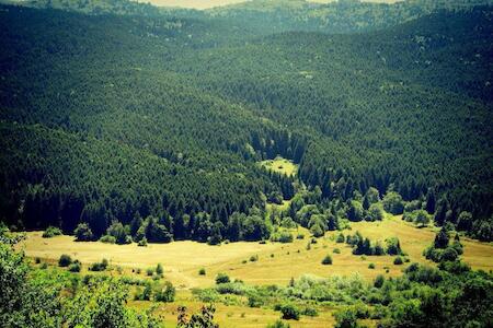 Next To Forest, Agara Next To Forest, Agara