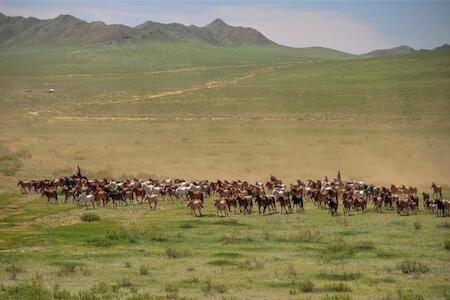 Sunpath Mongolia
