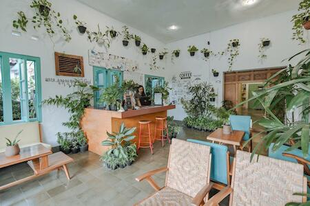 Best for Solo Traveler: Snooze Guesthouse, Yogyakarta