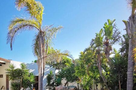 Khaya Kite & Yoga, Cape Town