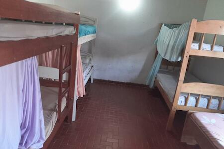 Quintana Liz, Asunción