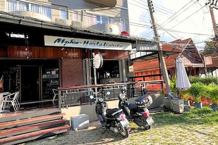 Alpha Hostel Cafe&bar