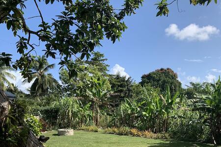 Best for Solo Traveler: Green Queendom Farm & Lodging, Oracabessa