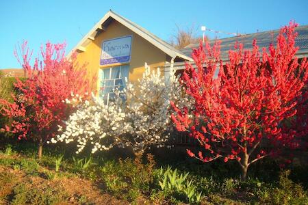 Best for Solo Traveler: Karma Backpackers, Kestell Best for Solo Traveler: Karma Backpackers, Kestell