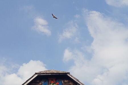 Mejor Hostal de Fiesta: Planinarski dom "Tornik" Zlatibor, Ribnica