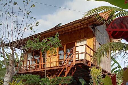 Jungle Surf House - surf & stay