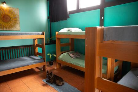 Hostel Casa Lion, Búzios