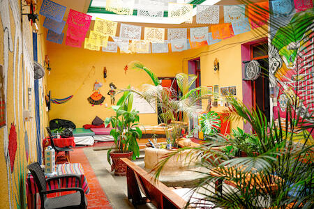 Iguana Hostel Oaxaca