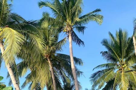 Tuyom By Hostel 7, Cebu Tuyom By Hostel 7, Cebu