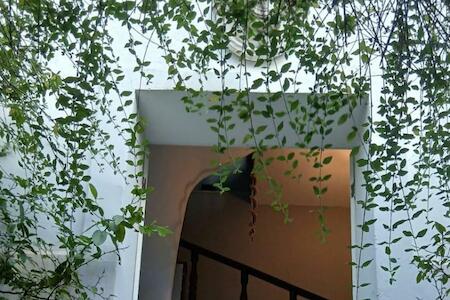 Hostel Triplo J E Guest House, Salvador
